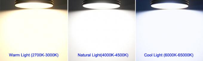 Schwarze Aluminiumoberfläche angebrachte LED-Decke, die 20 W für Mode-Speicher beleuchtet