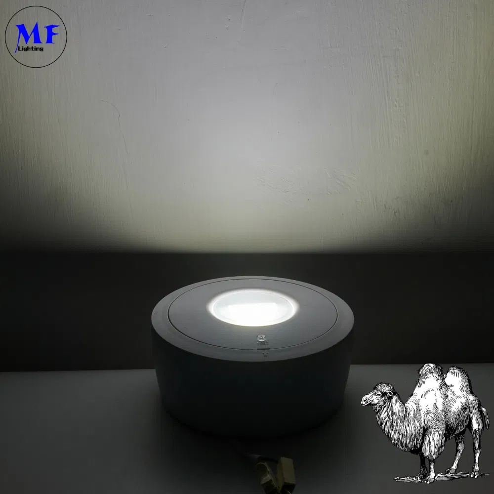 Panel Down Light LED Panik Notfall Fluchtzeichen Licht IP65 Batterie Backup Wiederaufladbare öffentliche Schule Krankenhaus Weiß 3