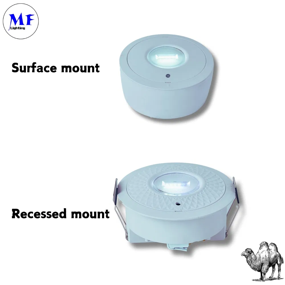 Panel Down Light LED Panik Notfall Fluchtzeichen Licht IP65 Batterie Backup Wiederaufladbare öffentliche Schule Krankenhaus Weiß 4