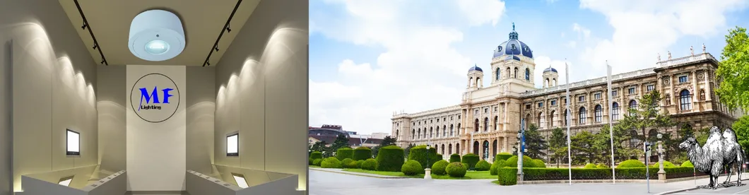 Panel Down Light LED Panik Notfall Fluchtzeichen Licht IP65 Batterie Backup Wiederaufladbare öffentliche Schule Krankenhaus Weiß 18
