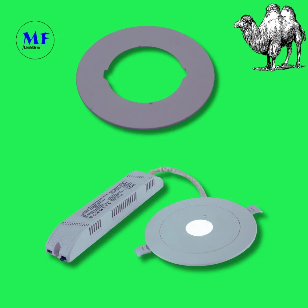 Downlight Panik Notausgang Fluchtwegschild Licht 3h IP65 Batterie Einkaufszentrum Werkstatt Mall 1