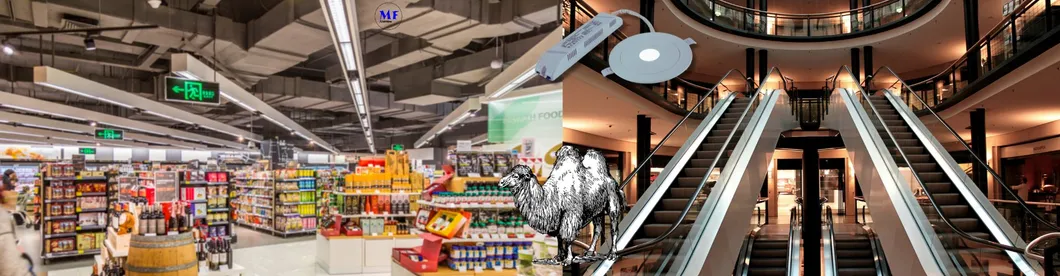 Downlight Panik Notausgang Fluchtwegschild Licht 3h IP65 Batterie Einkaufszentrum Werkstatt Mall 12