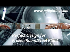 600-mm-LED-Tri-Proof-Leuchte 25 W mit Diffusor aus gehärtetem Glas