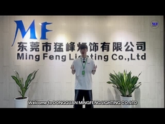 Ming Feng Lighting Co., Ltd.