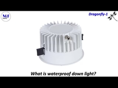 MF Downlight Dragonfly-1