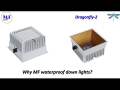 MF Downlight Dragonfly-2