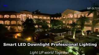 Professionelles intelligentes LED-Downlight für moderne Innenräume