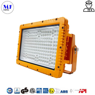 IP66 IK10 Waterproof Dust-proof Explosion Proof Flood Light For Heavy Industry Storage Paper Mills