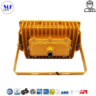IP66 IK10 Waterproof Dust-proof Explosion Proof Flood Light For Heavy Industry Storage Paper Mills