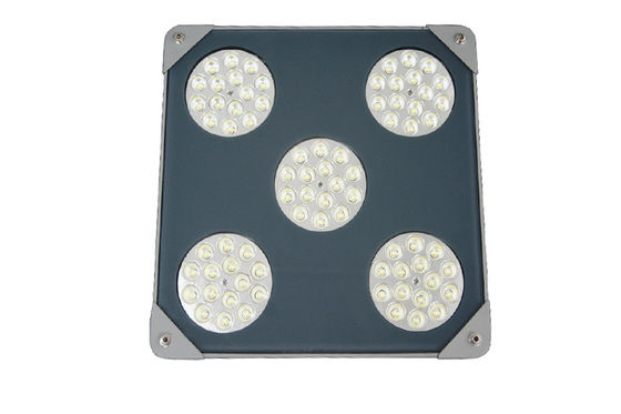 80W LED Canopy Lighting 130LM/W Explosion appoved, GS, CE,DLC certificated
