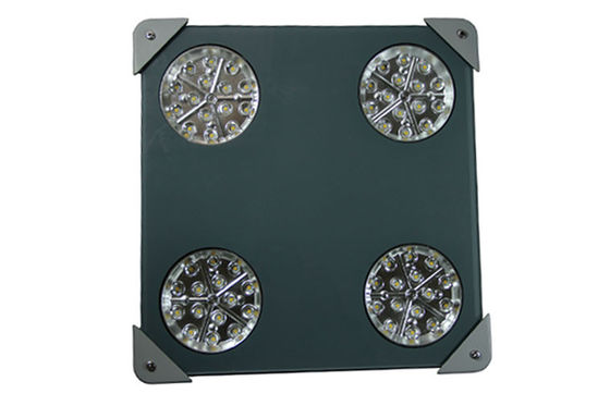 6500LM IP66 60Watt   LEDs LED Canopy Lights IP66 5 Years Warranty explosion proof