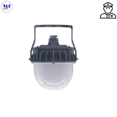 Dustproof Industrial LED Explosion Proof Light With EX Atex 20W-60W IP66 Dustproof High Bay Light