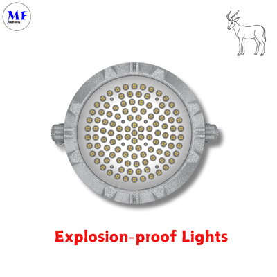 240W LED Explosion Proof Flood Light  Atex Certified IP66 Ik08 Durable Round Robust 240W LNG Oil Gas Industrial Marine Platform Mining Chemical Industrial