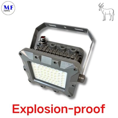 IP66 50W 75W 100W 150W 200W 240W 300W 350W 400W EATON Öl Minging Offshore Zone Explosionproof Lighitng LED Explosion Proof Atex Flood Light