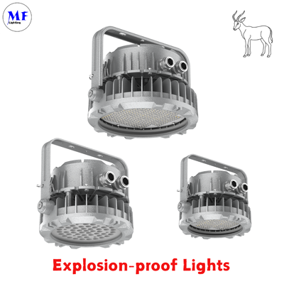 Fabrikpreis 400W explosionsgeschützte Flutlicht IECEx ATEX Druckgussaluminium IP66 IK08 Abstrahlwinkel optional Öl Gas Chemie Gefahr Industrie LED explosionsgeschütztes Licht